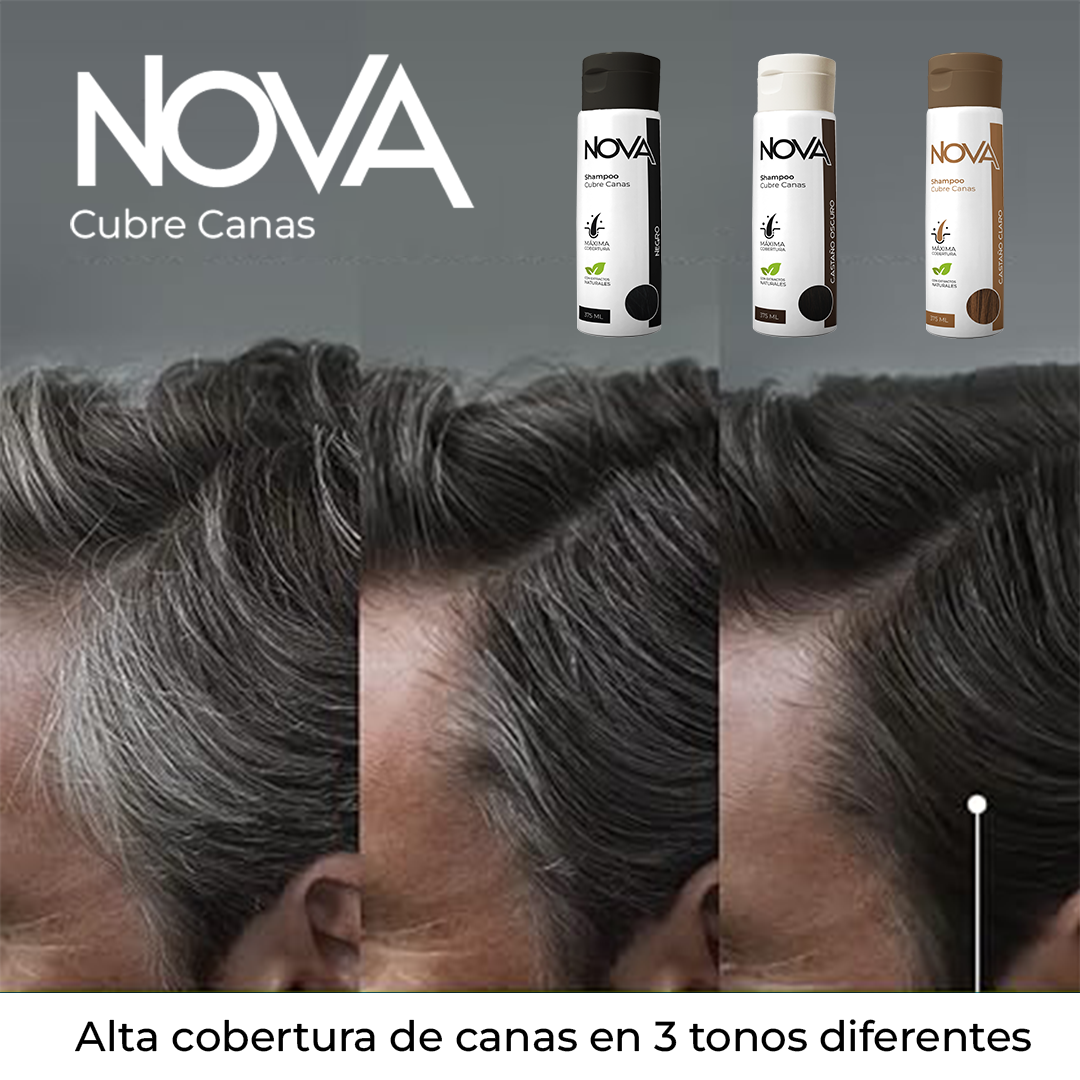 Encabezado