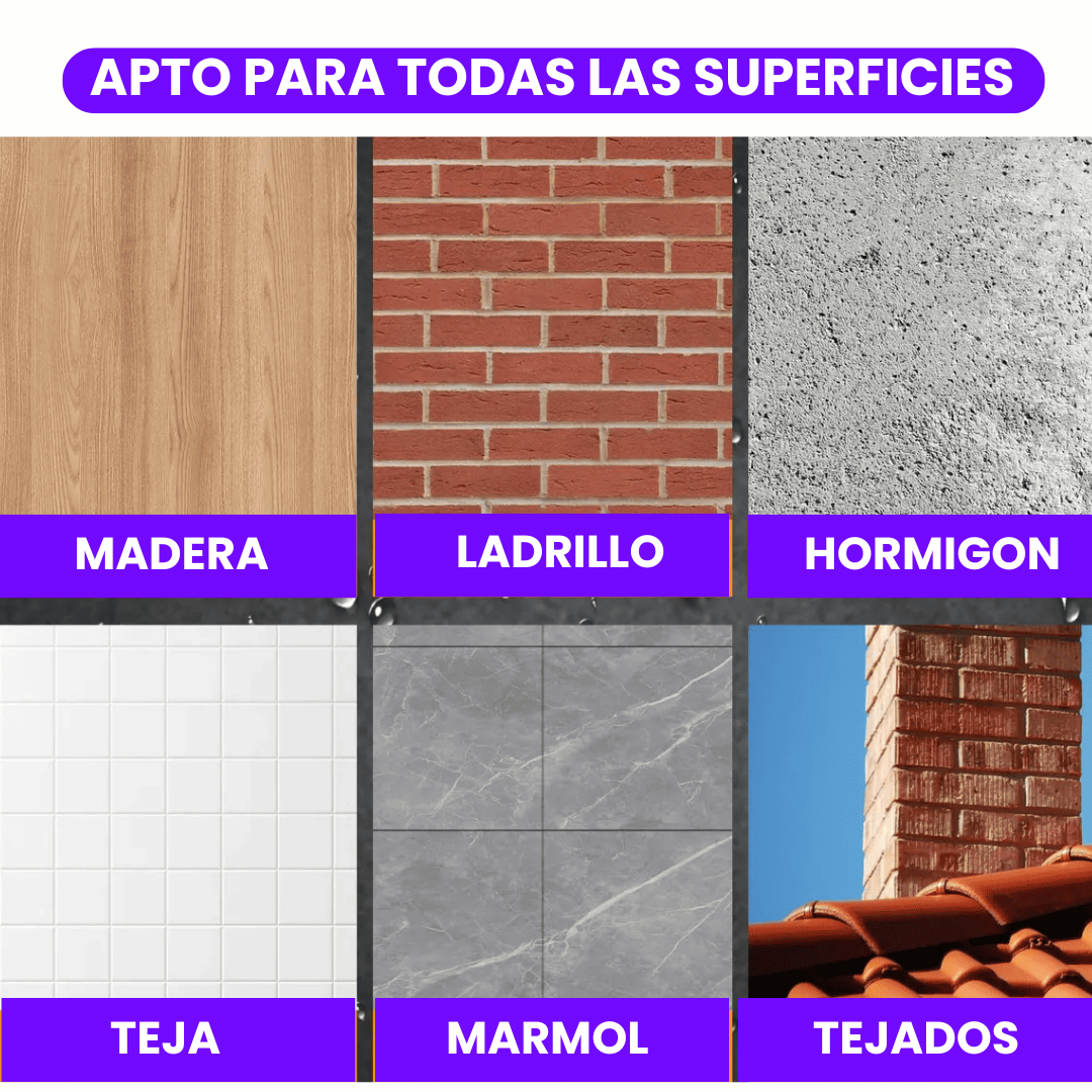 Encabezado