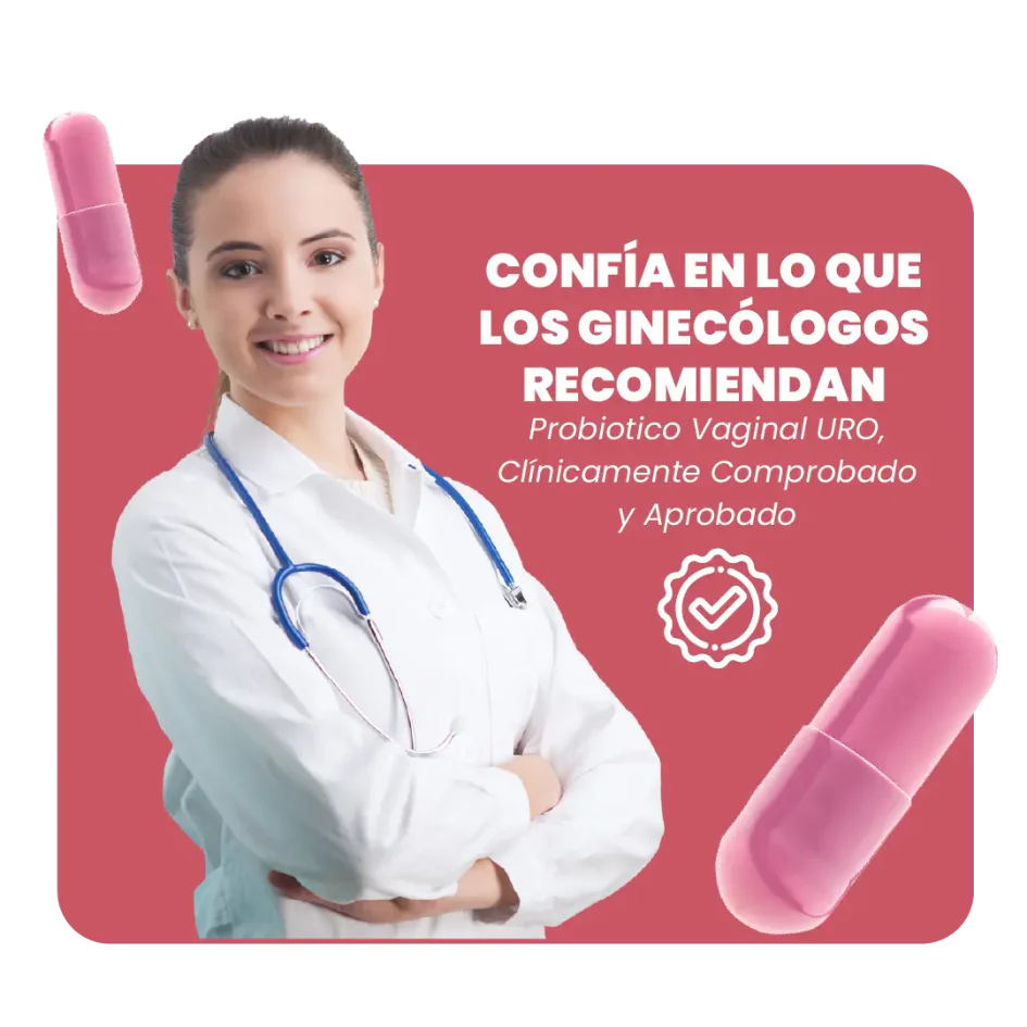Encabezado