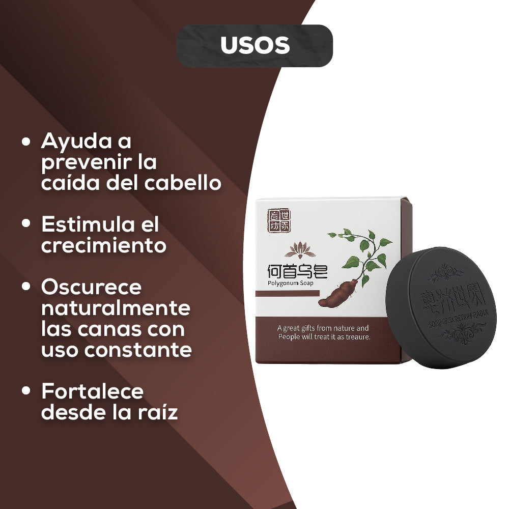 Encabezado