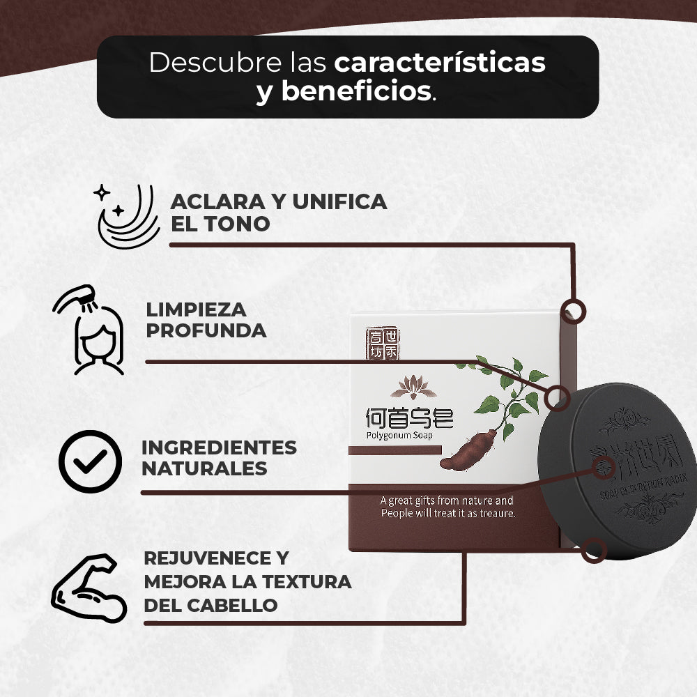 Encabezado