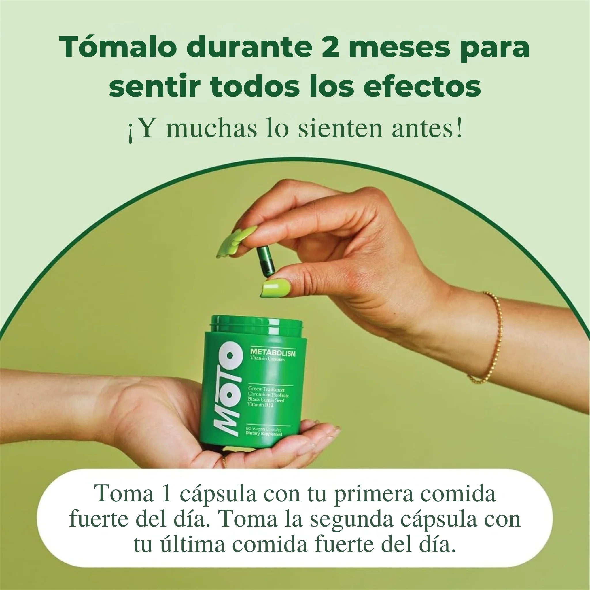 Encabezado