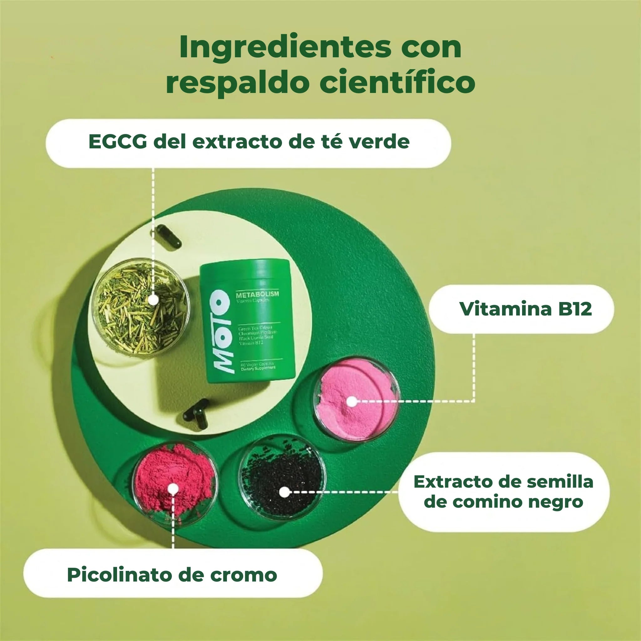 Encabezado